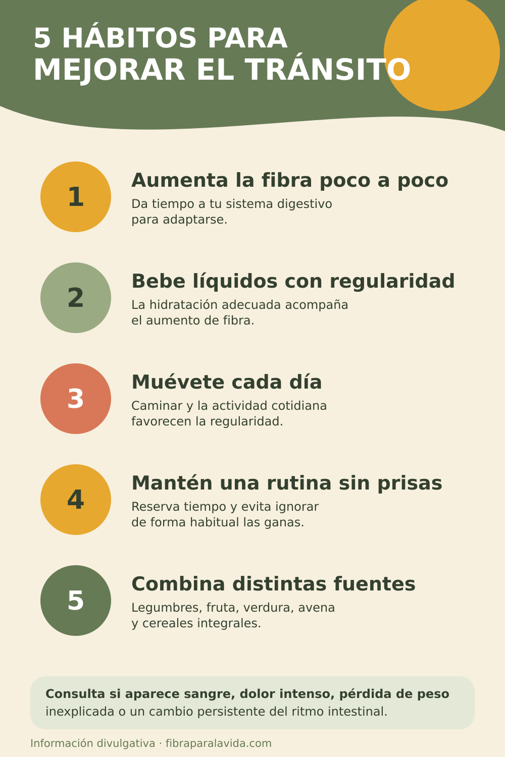 Infografía con cinco hábitos para mejorar el tránsito intestinal